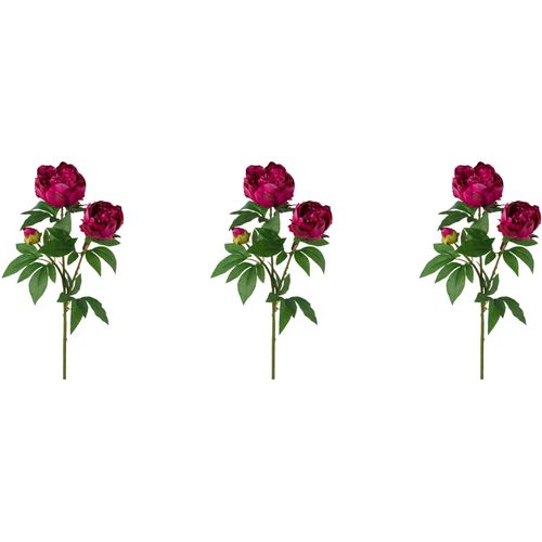 4064118964919 - Kunstblume CREATIV GREEN Peonienzweig pink B13cm H70cm T17cm Obermaterial 85% Polyester 15% Polyethylen Kunstpflanzen 4064118964919 - Kunstblume CREATIV GREEN Peonienzweig pink B13cm H70cm T17cm Obermaterial 85% Polyester 15% Polyethylen Kunstpflanzen