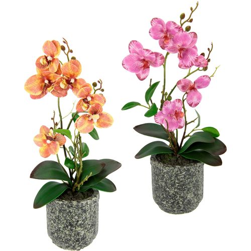 4019844779023 - Kunstpflanze IGEA Orchidee Kunstpflanzen Gr B H L 18 cm x 38 cm x 38 cm 2 St bunt (rosa orange) Künstliche Zimmerpflanzen Mit Blättern und Luftwurzeln im Topf aus Keramik 2er Set