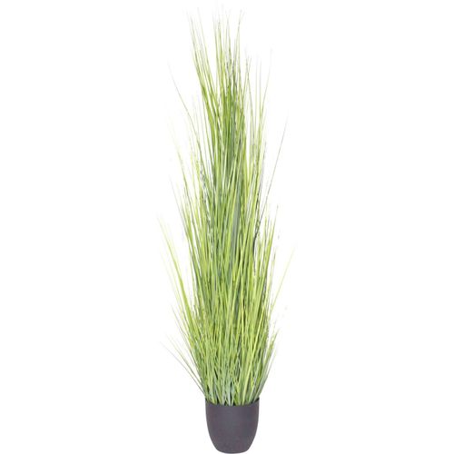 8505455133911 - Kunstgras BOTANIC-HAUS Gras Festuca grün B55cm H180cm T55cm Ø55cm Kunststoff Kunstpflanzen