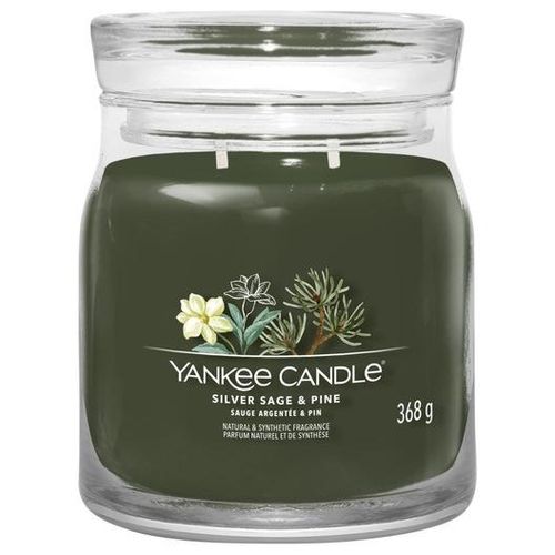 5038581129389 - Yankee-Candle Raumduefte Votivkerze-im-GlasSilver Sage + PineDuftkerze 367 g (7063 €   1 kg)