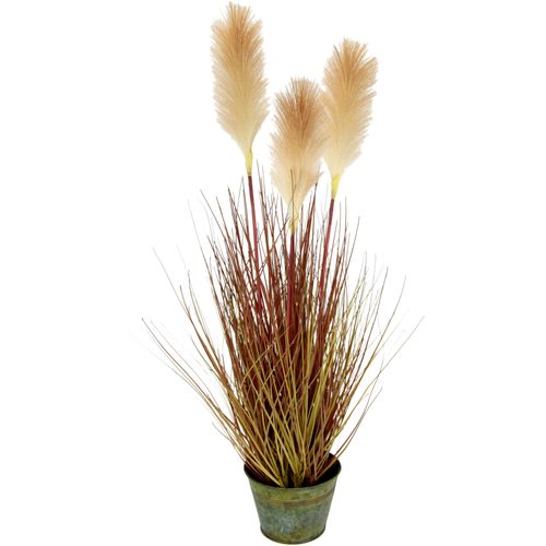 4019844761189 - Kunstpflanze IGEA Pampasgras Kunstpflanzen Gr B H L 24 cm x 75 cm x 24 cm 1 St beige (natur) Künstliche Zimmerpflanzen Im Metalltopf
