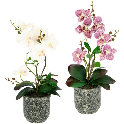4019844779009 - Kunstpflanze IGEA Orchidee Kunstpflanzen Gr B H L 18 cm x 38 cm x 38 cm 2 St beige (creme rosa) Künstliche Zimmerpflanzen Mit Blättern und Luftwurzeln im Topf aus Keramik 2er Set