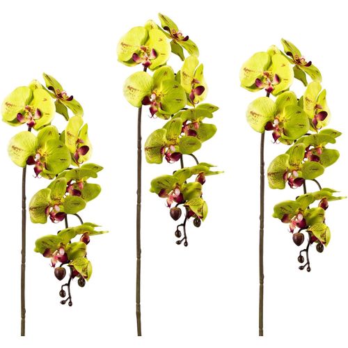 4003529905241 - Kunstpflanze CREATIV GREEN Kunstpflanzen Gr H 98 cm 3 St grün Kunstpflanze Künstliche Zimmerpflanzen Kunstpflanzen 3er Set