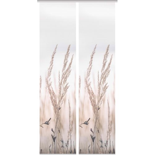 4056751415613 - Schiebegardine VISION S RELVA beige (natur) B60cm H260cm Polyester Gardinen DIGITALDRUCK