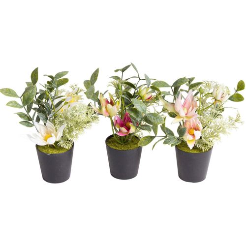 5415070896180 - Künstliche Zimmerpflanze BOTANIC-HAUS Christrosen-Arrangement im schwarzen Kunststofftopf Kunstpflanzen Gr Ø H 13 cm x 18 cm 3 St orange Künstliche Zimmerpflanzen 5415070896180 - Künstliche Zimmerpflanze BOTANIC-HAUS Christrosen-Arrangement im schwarzen Kunststofftopf Kunstpflanzen Gr Ø H 13 cm x 18 cm 3 St orange Künstliche Zimmerpflanzen