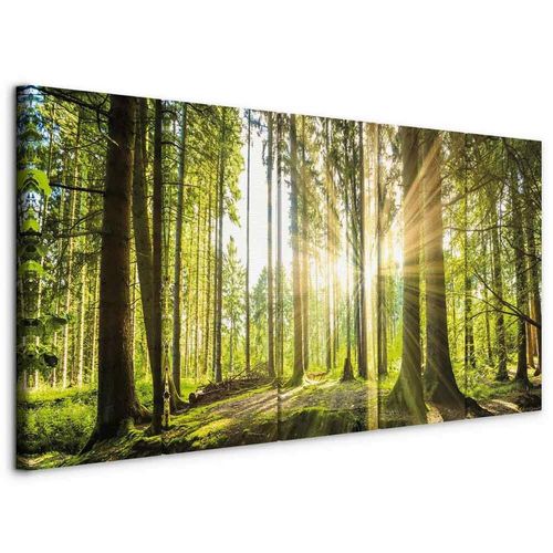 5903428162167 - artgeist Leinwandbild  Hellgrün Waldgrün  Textil Holzwerkstoff  5-teilig  Landschaft & Natur Bäume  rechteckig  200x80x12 cm  Keilrahmen 