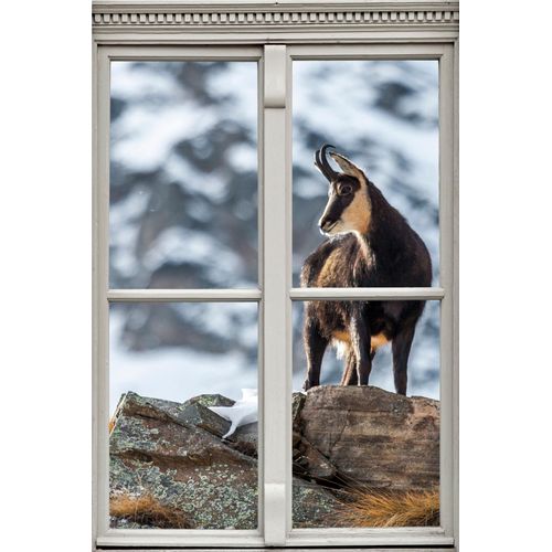 4049009352730 - Wandsticker QUEENCE Steinbock braun B40cm H60cm T01cm Wandtattoos Wandsticker Wandbild selbstklebend 3D Fenster