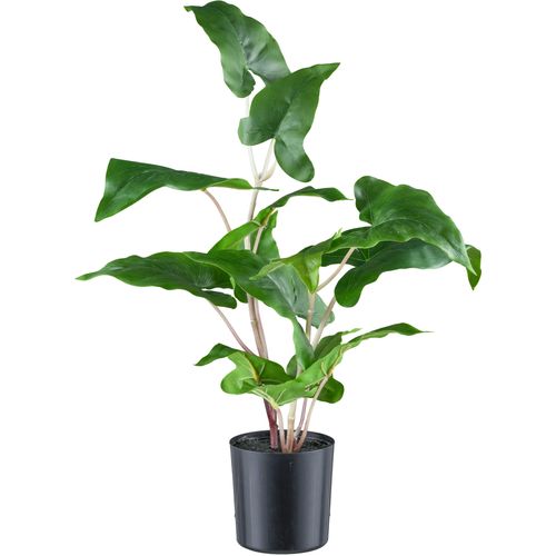 4064118241287 - Kunstpflanze CREATIV GREEN Colocasia esculenta grün H50cm Kunststoff Kunstpflanzen mit detailgetreuem Blattwerk