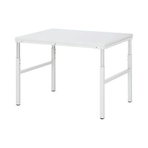 4040376889287 - Rau Basistisch Serie E manuell höhenverstellbar 22 mm Spanplatte mit Melaminbelag bis 450 kg B 1000 x T 700 x H 650-1000 mm lichtgrau