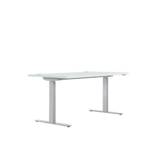 4250510817117 - Schreibtisch ERGO DRIVE ED 470 elektrisch höhenverstellbar Rechteck T-Fuß B 1600 x T 800 x H 692-1147 mm lichtgrau