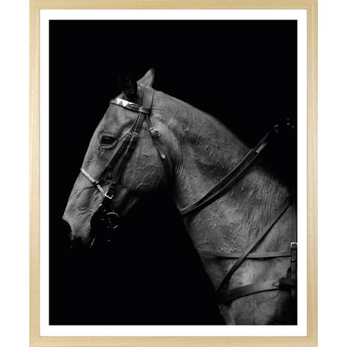 4067437131376 - Bild mit Rahmen QUEENCE Pferd Pferdeprofil farbe rahmen beige farbe bild(er) grau B30cm H40cm T15cm Acrylglas Holzrahmen Bilder