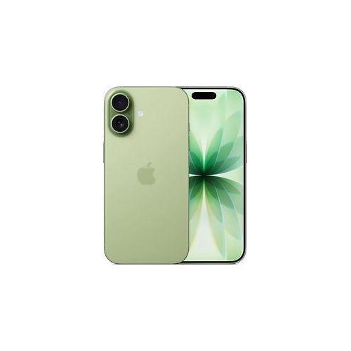 5413729250345 - iPhone 17 256GB salbei