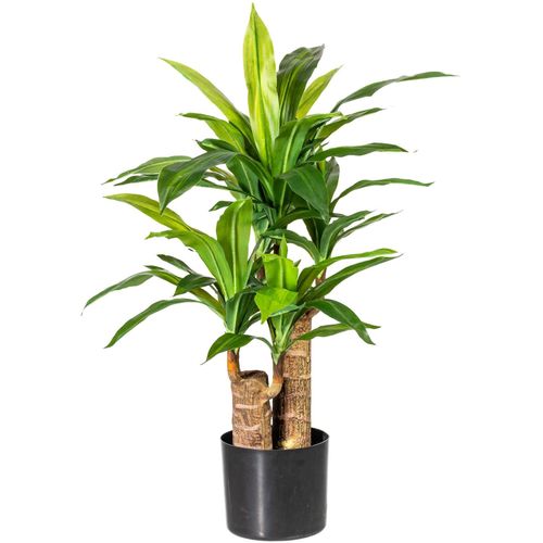 4064118841067 - Künstliche Zimmerpflanze HOME AFFAIRE Corentin Kunstpflanzen Gr B H 38 cm x 80 cm 1 St grün Künstliche Zimmerpflanze Zimmerpflanzen