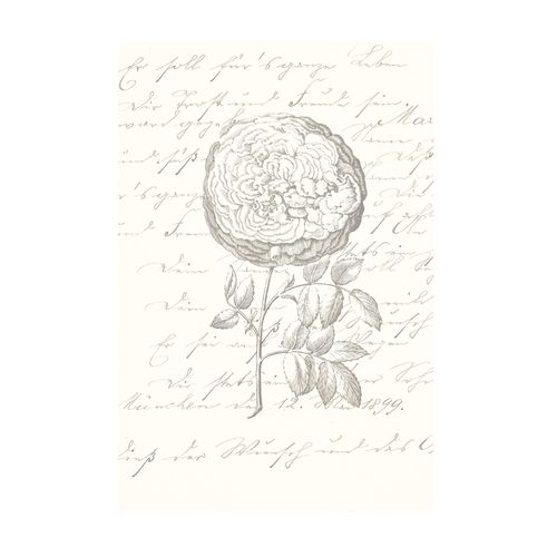 4055065179396 - Bild KOMAR Ma Chérie schwarz (farbe bild(er) schwarz weiß) B50cm H70cm Holz Papier Bilder Wandbild zur Dekoration - ohne Rahmen