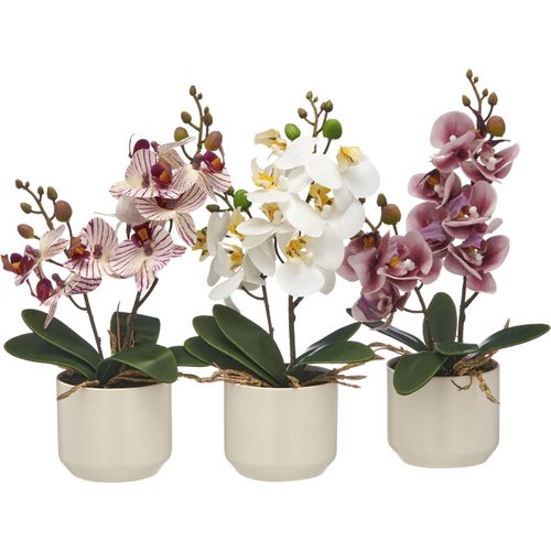 4064118351764 - Kunstorchidee CREATIV GREEN Orchidee Phalaenopsis mauve weiß cremelila H28cm Ø18cm Kunststoff Kunstpflanzen mit real-touch-Blüten