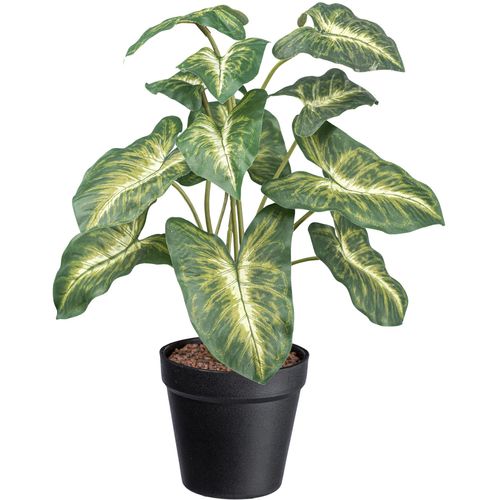 4064118181354 - Künstliche Zimmerpflanze CREATIV GREEN Syngonium Pixie grün H38cm Kunstpflanzen mit grüngelben Blättern