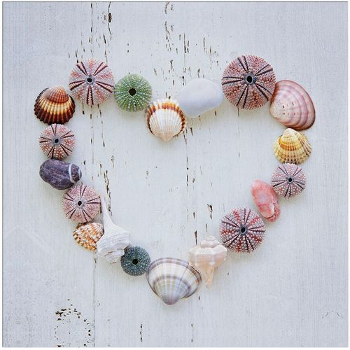 5011583536997 - Leinwandbild ART FOR THE HOME Outdoor Muschelherz 50x70cm weiß (farbe bild(er) weiß) B50cm H50cm T23cm Ø23cm Bilder Leinwand für draußen -Muschelherz - 50x50cm