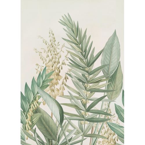 5011583410020 - Fototapete ART FOR THE HOME Palmlilie grün (grun) B2m L28m Vlies Tapeten Palmlilie Blätter 280x200 cm