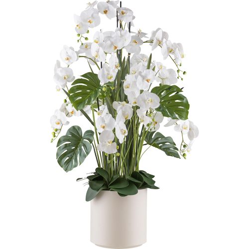 4064118240839 - Kunstorchidee CREATIV GREEN Orchidee Phalaenopsis beige (creme) Kunstpflanzen H 140cm Kunststoff mit Gräsern und Splitphilo-Blättern H140cm