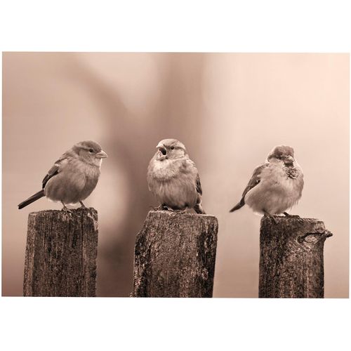 5011583537048 - Leinwandbild ART FOR THE HOME Outdoor Vogel 50x70cm braun (farbe bild(er) braun) B70cm H40cm T23cm Ø23cm Bilder Leinwand für draußen- Early Birds - Sepia - 50x70cm 5011583537048 - Leinwandbild ART FOR THE HOME Outdoor Vogel 50x70cm braun (farbe bild(er) braun) B70cm H40cm T23cm Ø23cm Bilder Leinwand für draußen- Early Birds - Sepia - 50x70cm