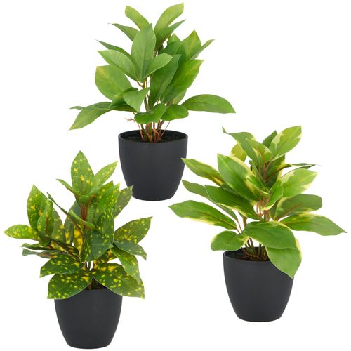 4064118352242 - Kunstpflanze CREATIV GREEN Acuba grün H24cm Kunststoff Kunstpflanzen mit schönem Blattwerk