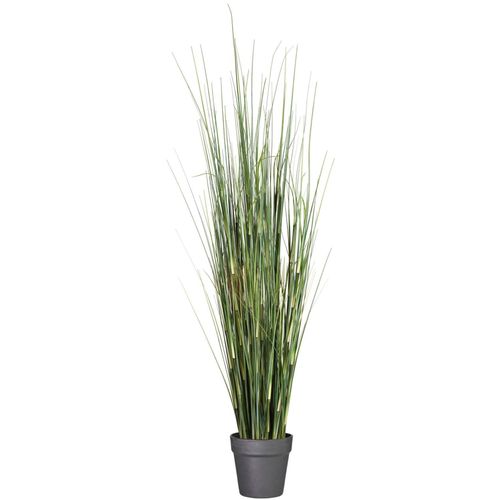 4064118079149 - Kunstgras CREATIV GREEN Equisetumgras Kunstpflanzen Gr H 155 cm 1 St grün Kunstgras Kunst-Gräser Kunstpflanzen im Kunststofftopf