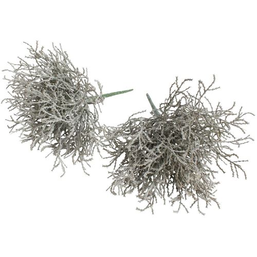 8505432122099 - Kunstzweig BOTANIC-HAUS Calocephalus (Silberkörbchen) Kunstpflanzen Gr Ø H 17 cm x 22 cm 2 St grau Kunst-Zweige
