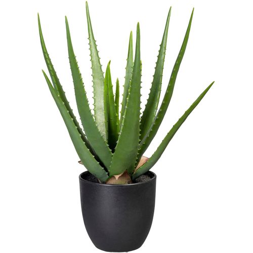4064118968252 - Künstliche Zimmerpflanze CREATIV GREEN Aloe Kunstpflanzen Gr B H 20 cm x 47 cm 1 St grün Künstliche Zimmerpflanzen 4064118968252 - Künstliche Zimmerpflanze CREATIV GREEN Aloe Kunstpflanzen Gr B H 20 cm x 47 cm 1 St grün Künstliche Zimmerpflanzen
