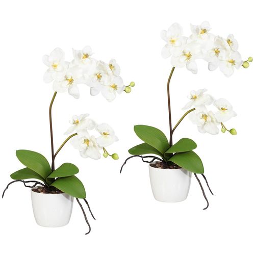 4064118039877 - Kunstpflanze CREATIV GREEN Orchidee Phalaenopsis Kunstpflanzen Gr H 60 cm 2 St weiß Künstliche Zimmerpflanzen Kunstpflanzen im Keramiktopf