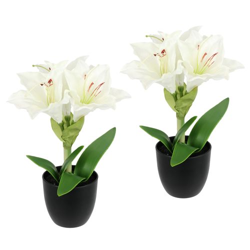 4019844826697 - Kunstblume IGEA Amaryllis im Topf weiß B17cm H28cm L14cm Polyester Kunstpflanzen 4019844826697 - Kunstblume IGEA Amaryllis im Topf weiß B17cm H28cm L14cm Polyester Kunstpflanzen